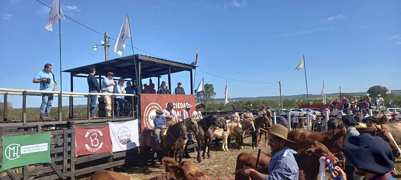 Con el toro del millón, la Expo Rural de las Misiones volvió y confirmó ...
