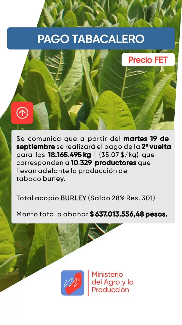 pago tabacalero