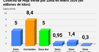 cosecha de hoja verde por zona en enero 2024 (en millones de kilos)