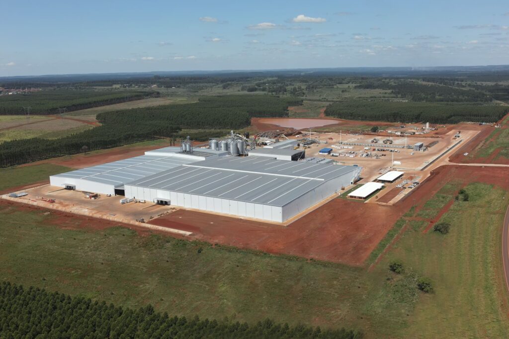 csm foto planta sept 2023 3a3148c7ba