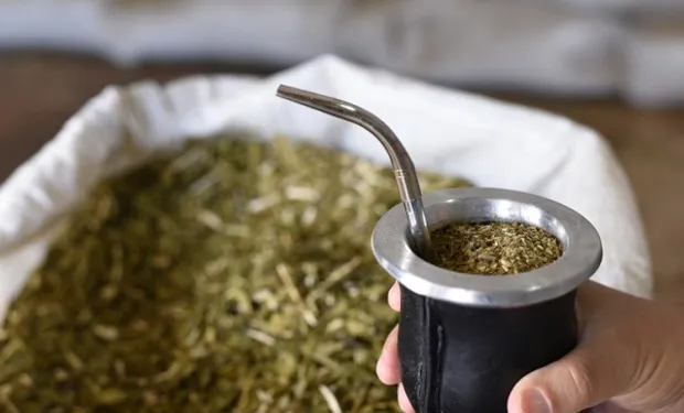 yerba mate consumo