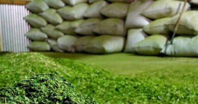 c15b0bc59aa06e0aef3897c97a2a60cc5c2822f997d13ee0 560