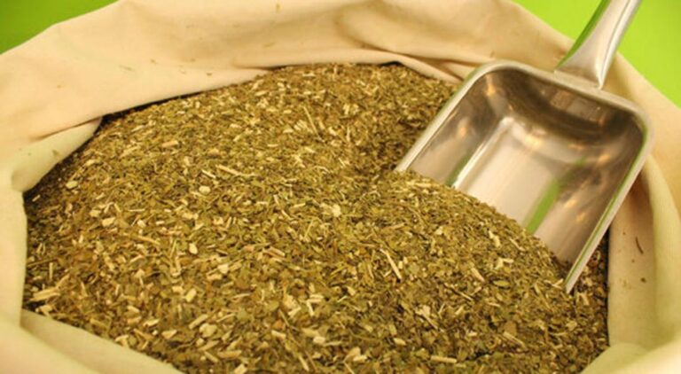 yerba mate