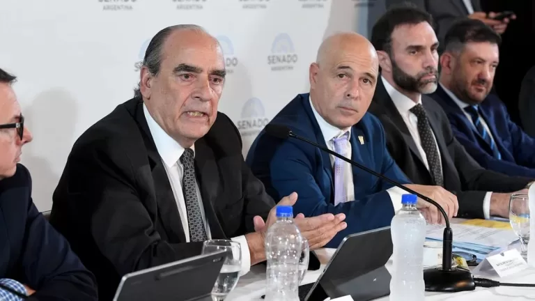 guillermo francos ley de bases senado dictamen