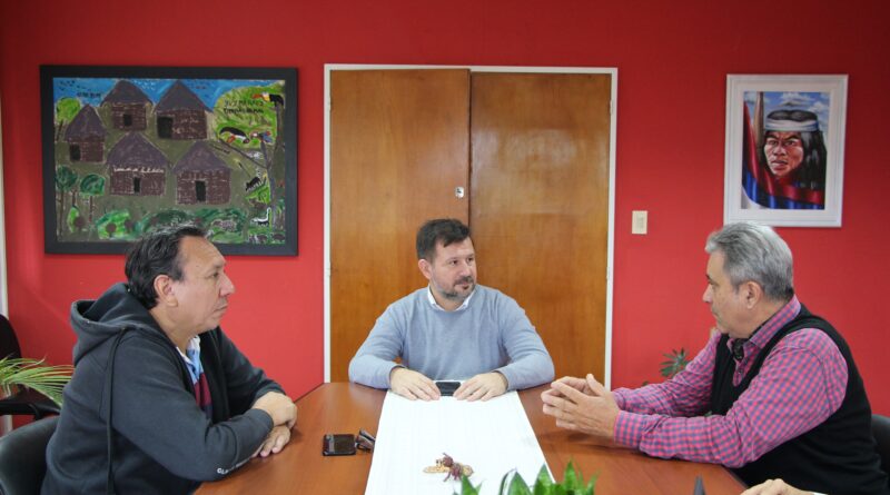 mate en la escuela 1