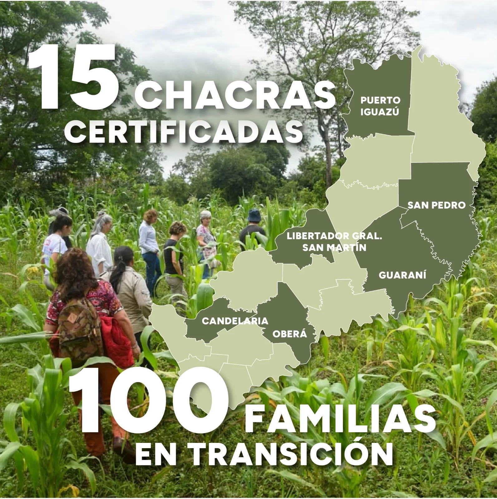 misiones chacras agroecológicas (2)