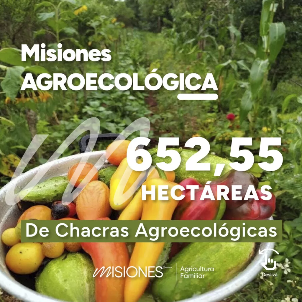 misiones chacras agroecológicas (3)