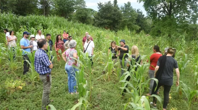 misiones chacras agroecológicas