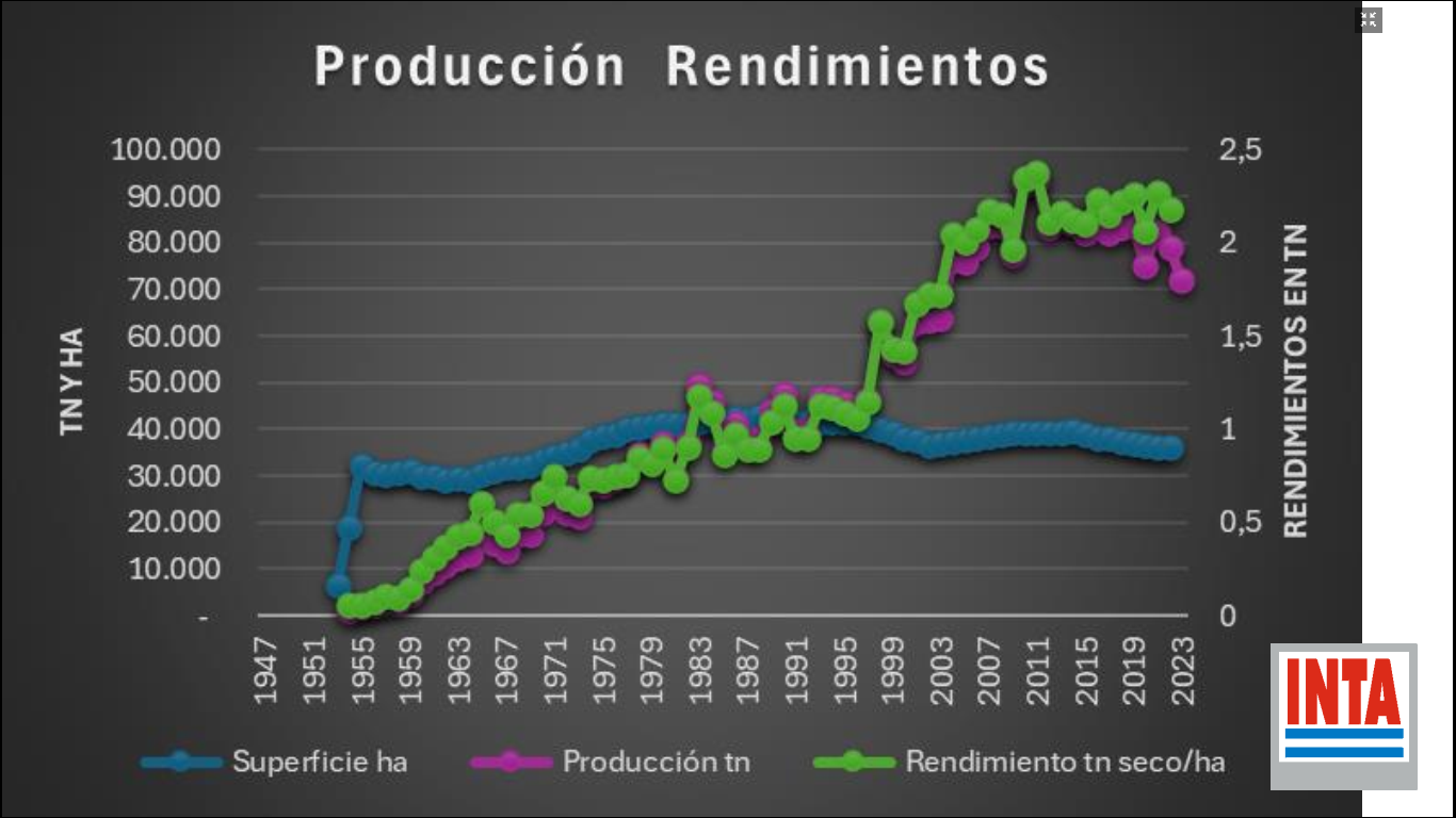 datos té 2