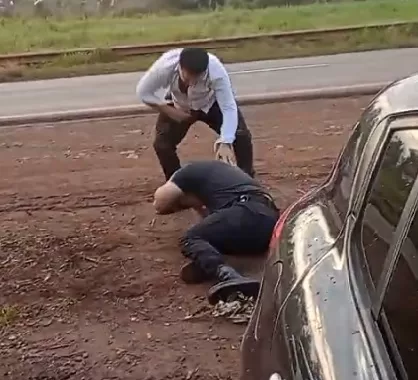 pesado
