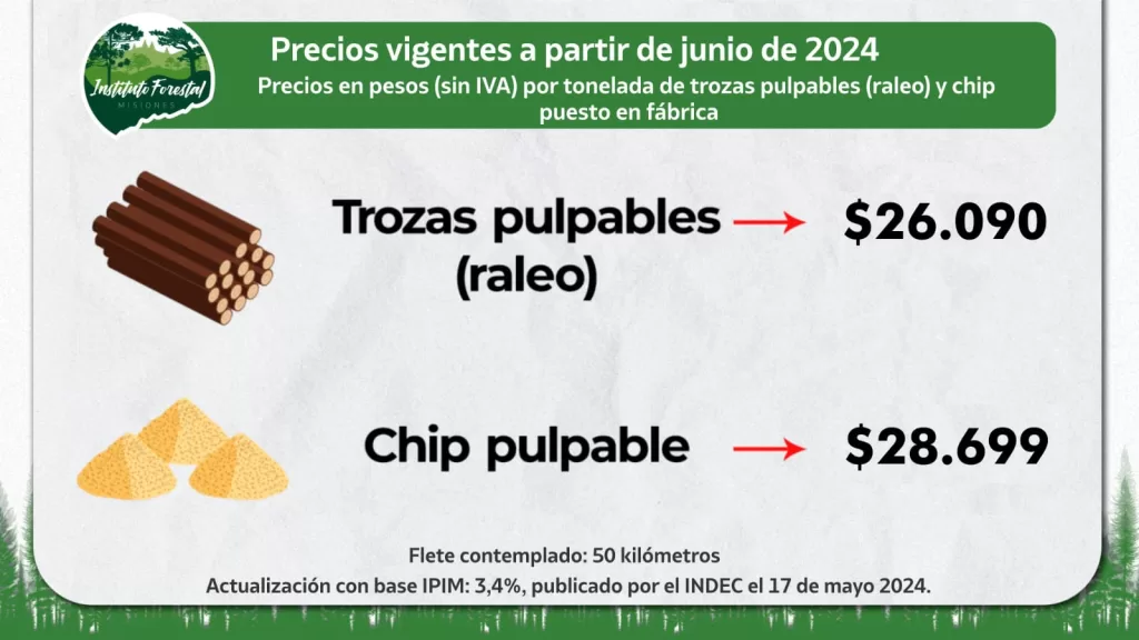 whatsapp image 2024 06 01 at 18.14.51