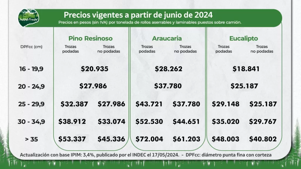 whatsapp image 2024 06 01 at 18.14.52