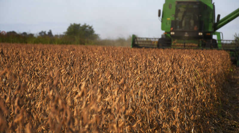 n8pbjspsy 1256x620 1