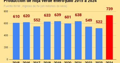 producción de hoja verde enero julio 2015 a 2024