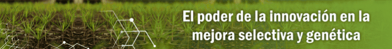 24.08.28 banner digital pindo campaña 2025 (796 x 100 px)