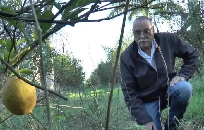 ricardo ranger eldorado