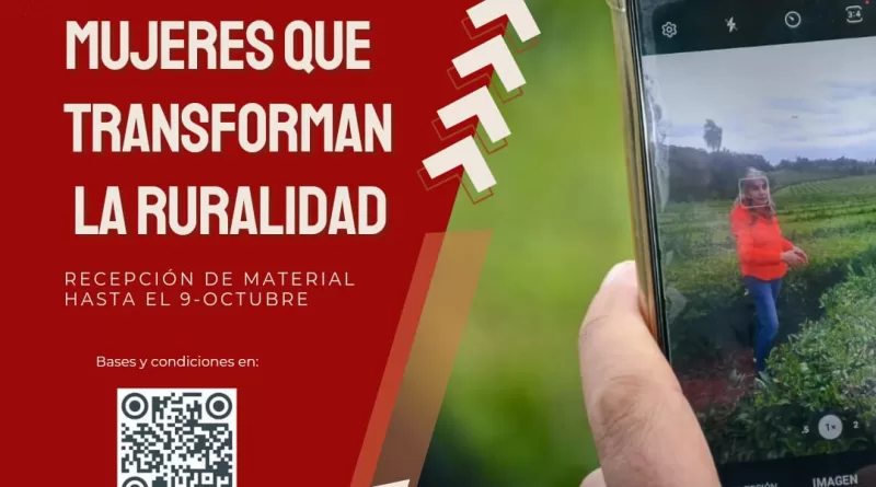 whatsapp image 2024 09 25 at 09.38.20