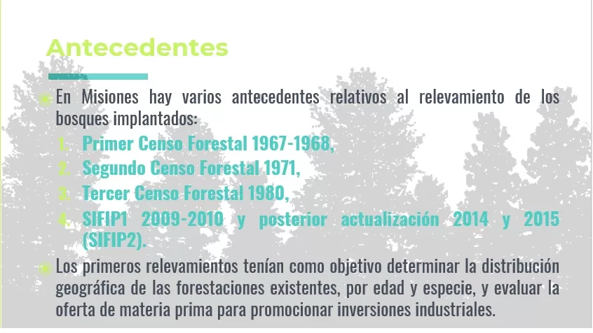 antecedentes