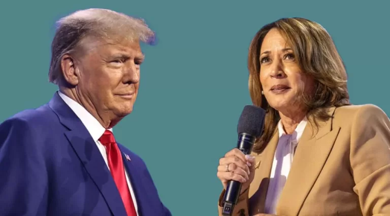 composicion 1024x568