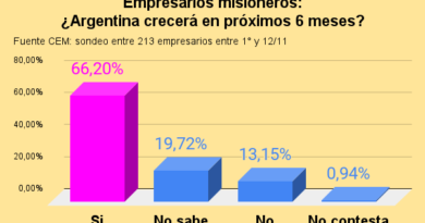 empresarios misioneros ¿argentina crecerá en próximos 6 meses (2)