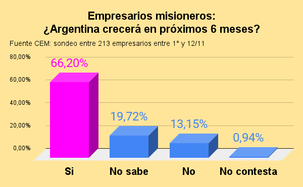 empresarios misioneros ¿argentina crecerá en próximos 6 meses (2)