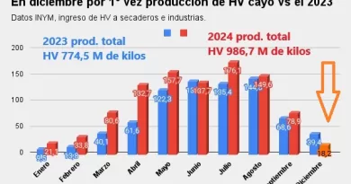grafico prod hv