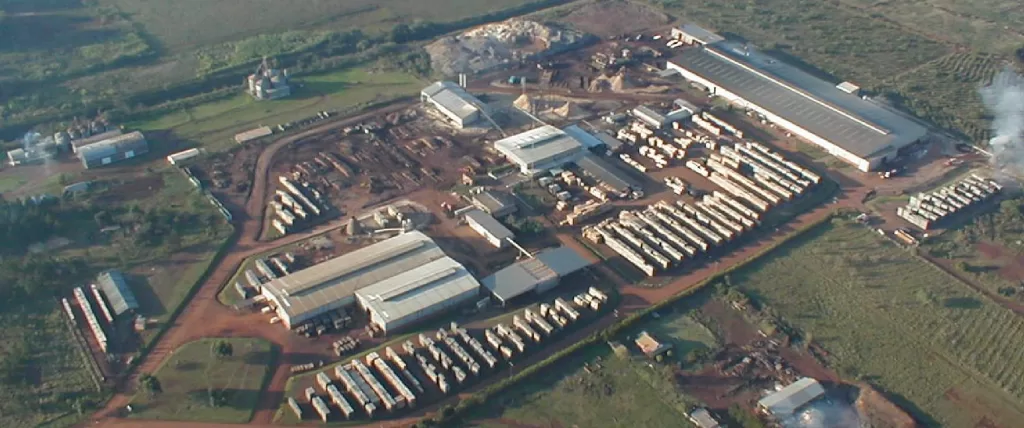 cel tapebicua grupotapebicua