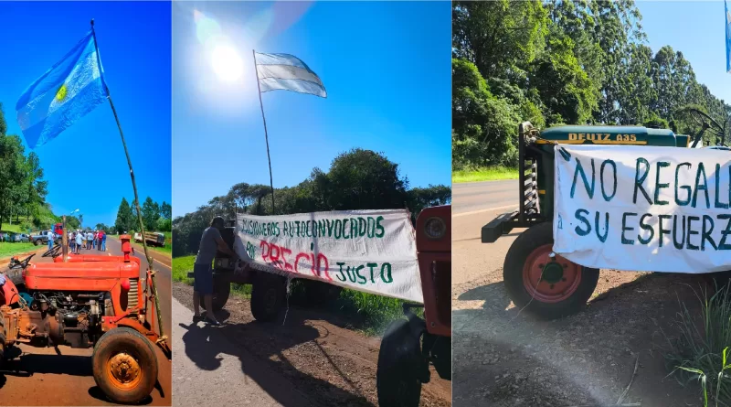 productores yerbateros mantienen protestas en san vicente y san josé en reclamo de precios justos (2)