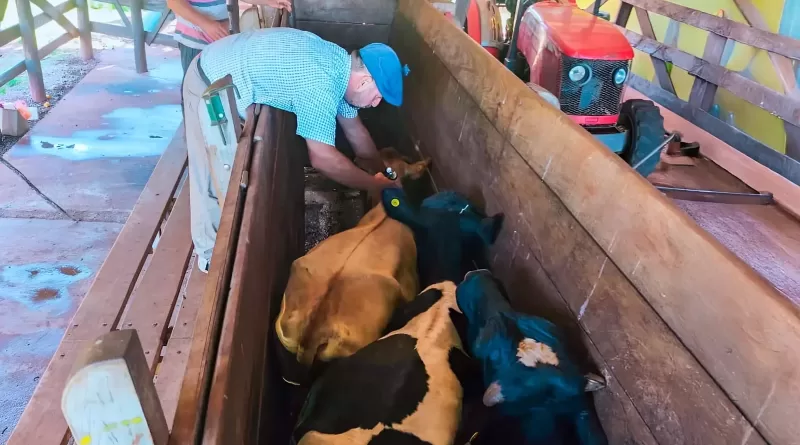 whatsapp image 2025 03 06 at 17.31.43