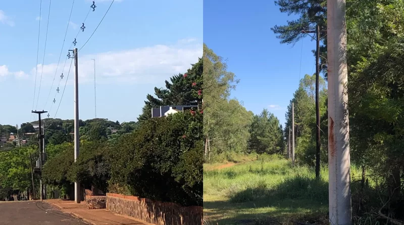 whatsapp image 2025 03 24 at 11.50.36