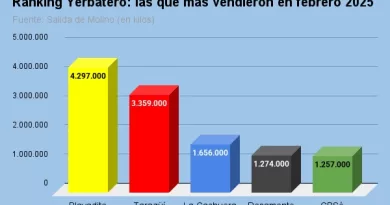 ranking yerbatero las que más vendieron en febrero 2025