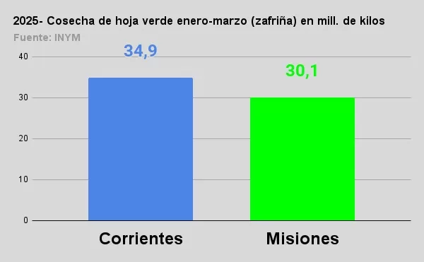 yerbatera3