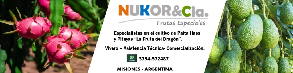 Banner NUKOR&CIA