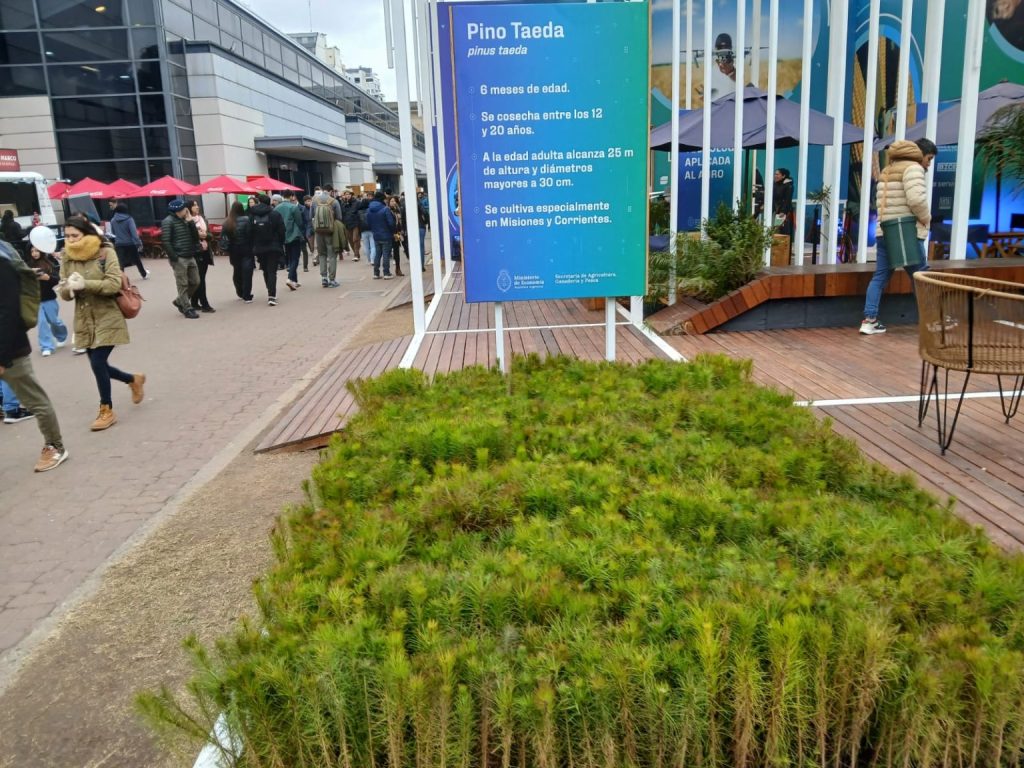 foresto rural 1536x1152