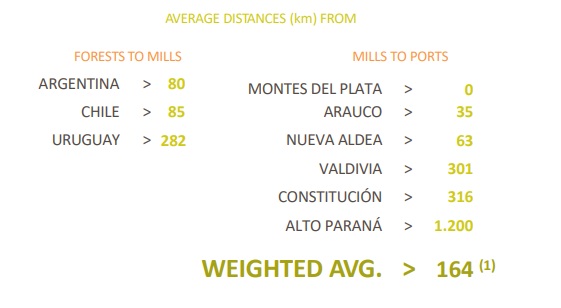 arauco33