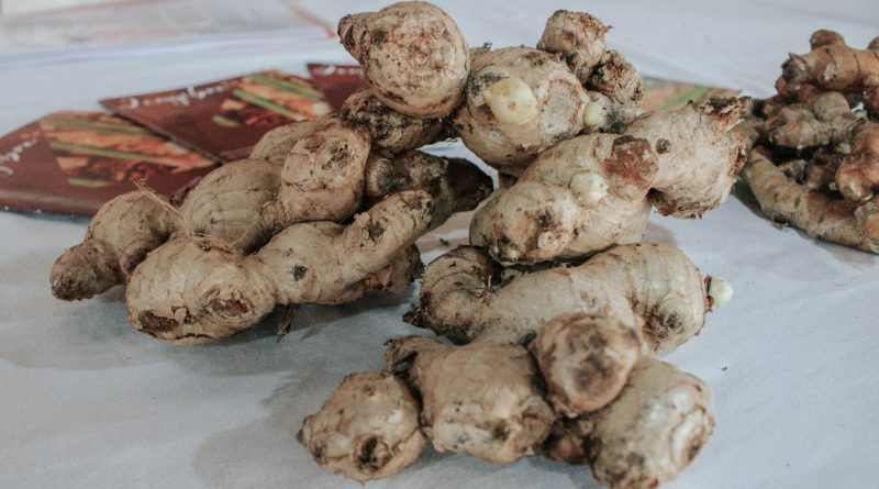 jengibre colonia alberdi 1