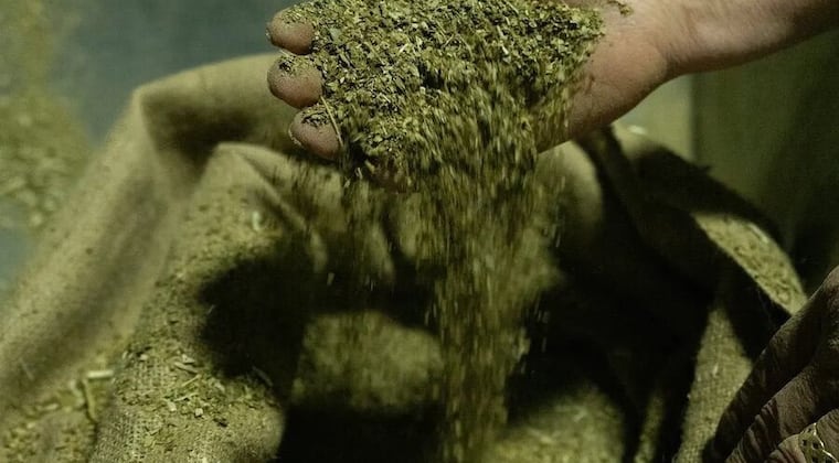 ukcbx7dlsjfibk2uafunikikue