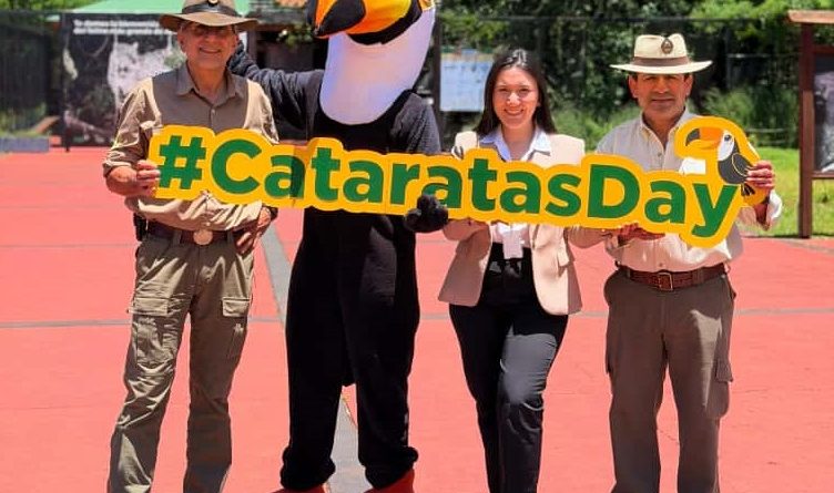 whatsapp image 2025 11 11 at 13.22.41