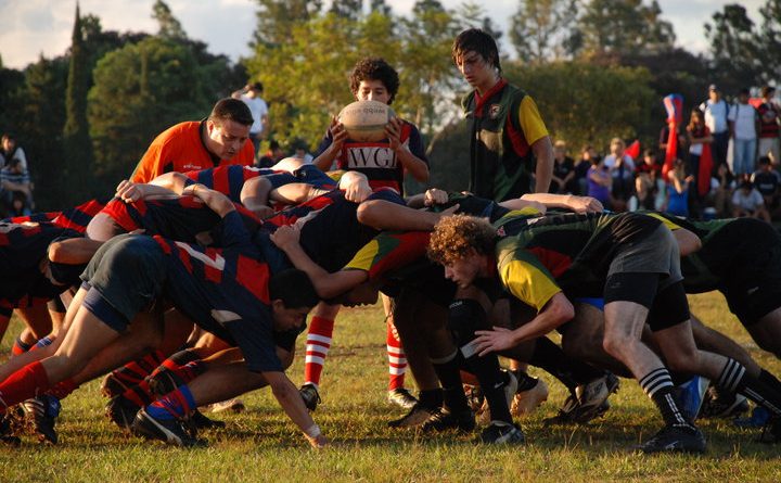 28825 399307563388 7123478 n