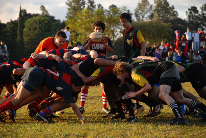 28825 399307563388 7123478 n