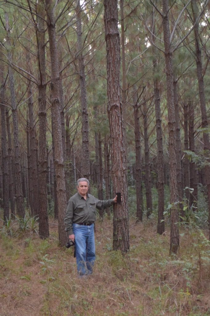 whatsapp image 2025 12 03 at 15.24.47 (3)