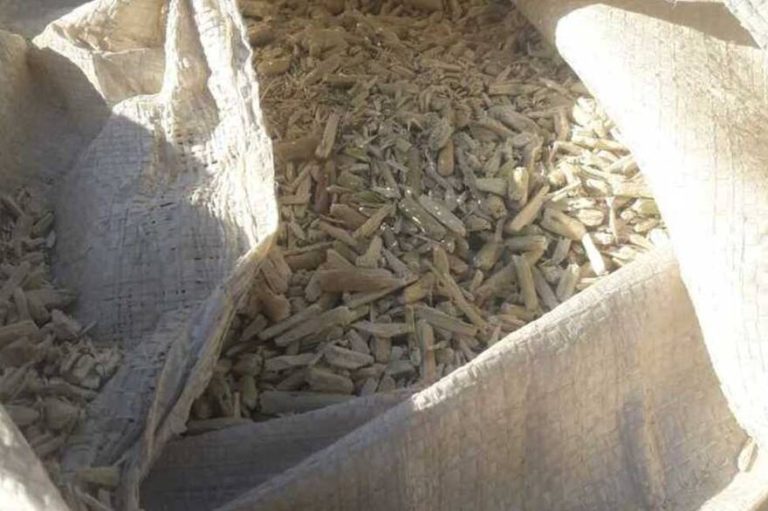 una bolsa con palo de descarte de la yerba mate qk7wtmt7m5fx5lb7iurpgg32ie