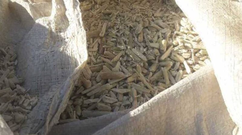 una bolsa con palo de descarte de la yerba mate qk7wtmt7m5fx5lb7iurpgg32ie