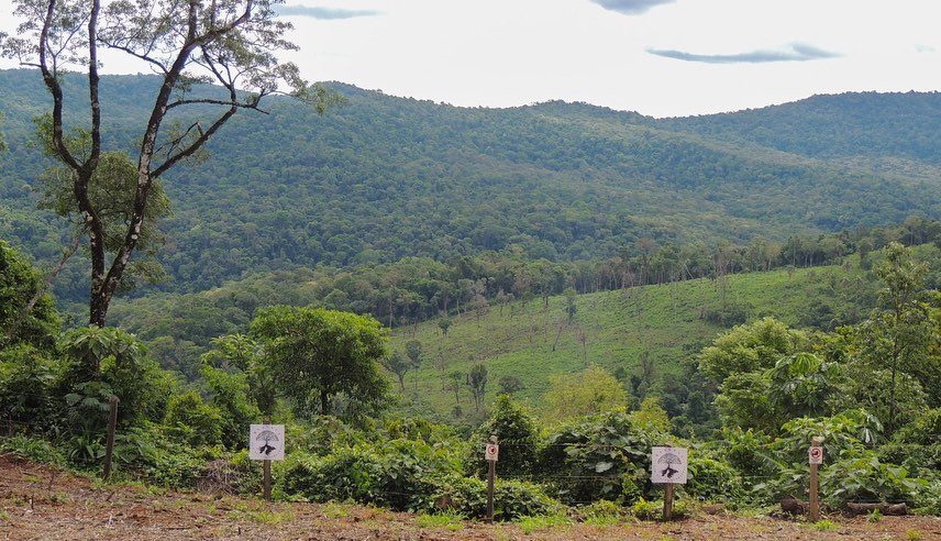 saveclip.app 272755997 3144098862544825 7244590245782259874 n