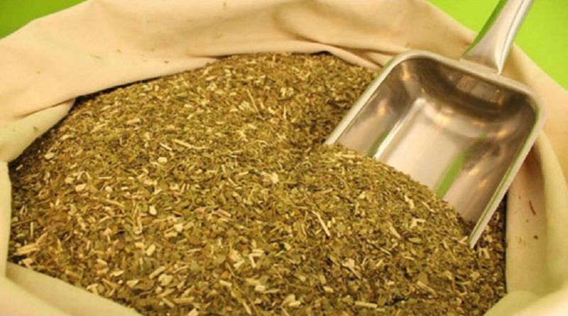 exportaciones yerba mate