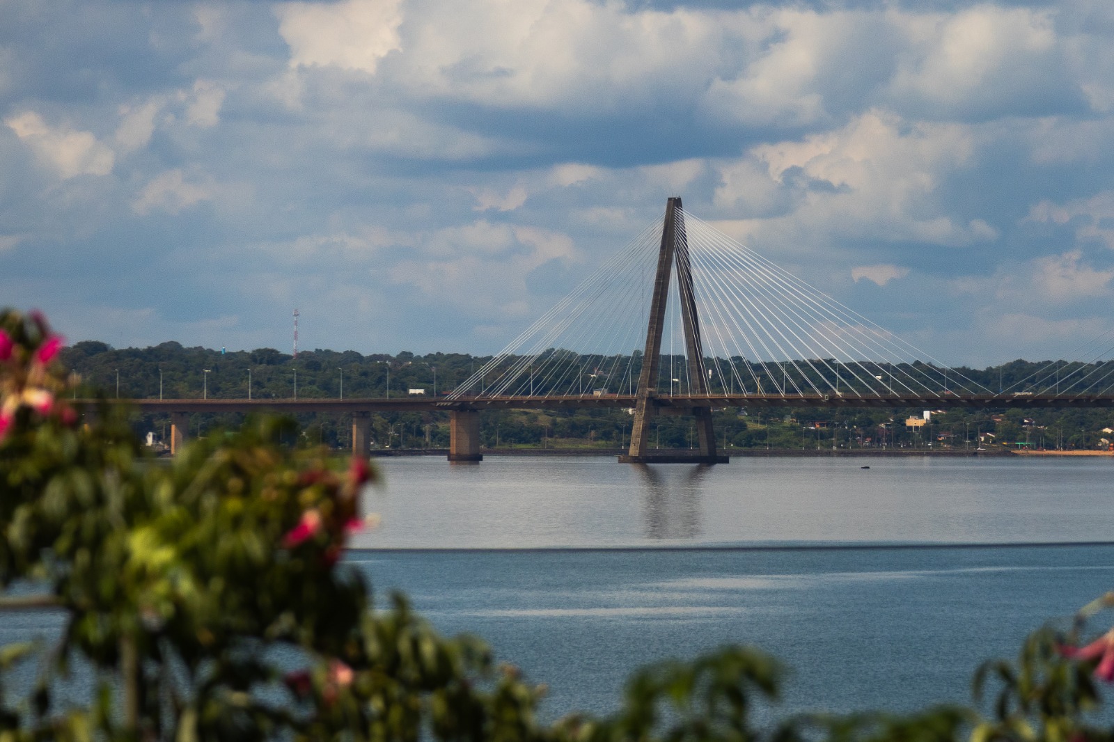 whatsapp image 2026 04 12 at 10.29.00