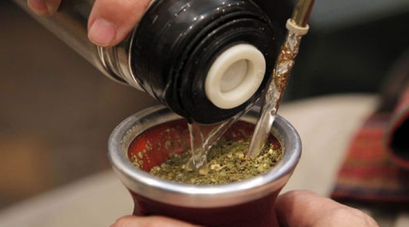 consumo de yerba mate infocampo 2