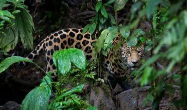 67052b8c282f0.r d.3090 1610 935