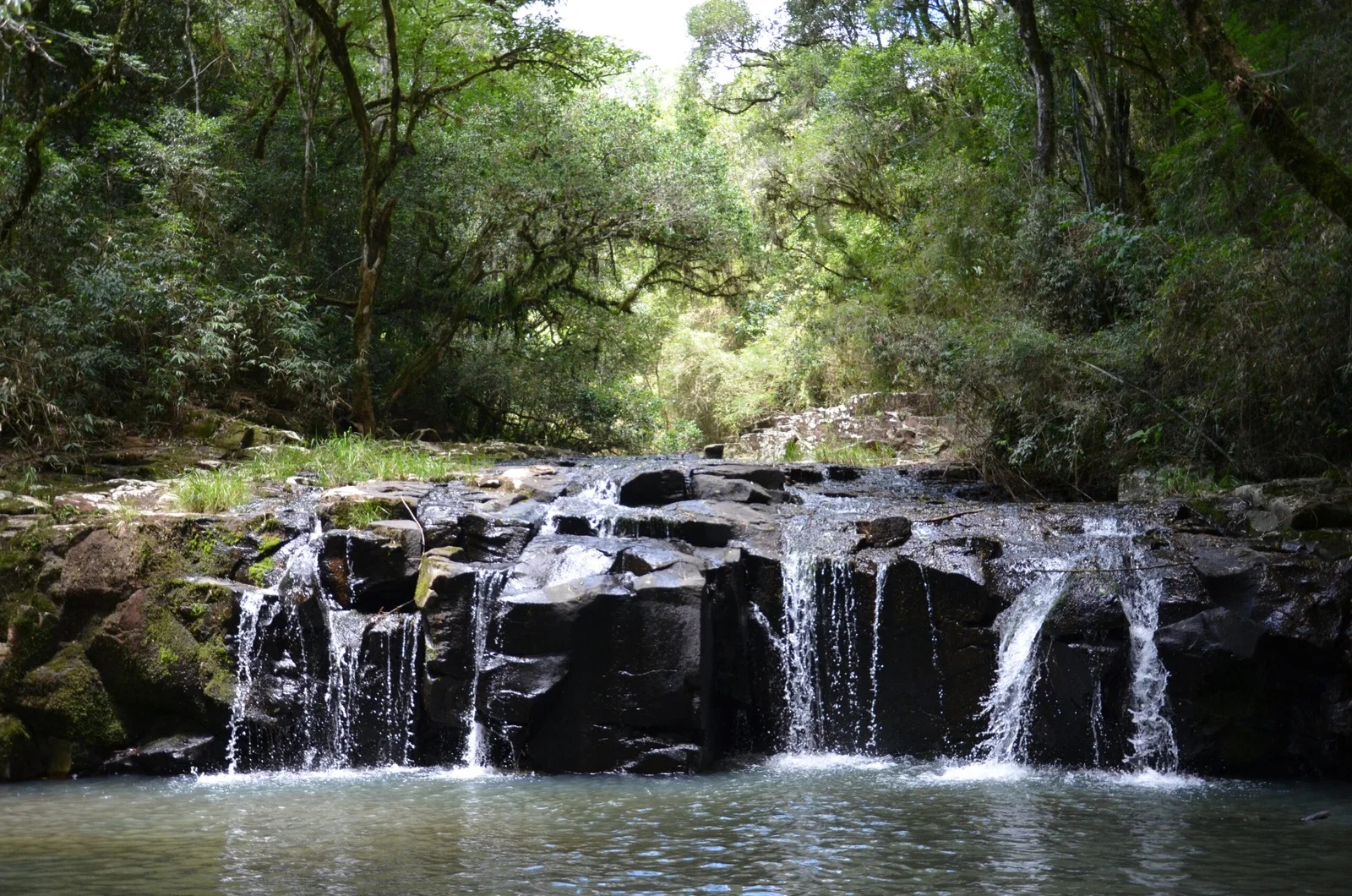 reserva natural y cultural 50° aniversario papel misionero scaled