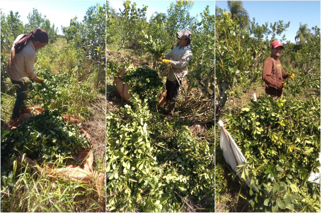 whatsapp image 2026 04 28 at 19.51.41 (1)